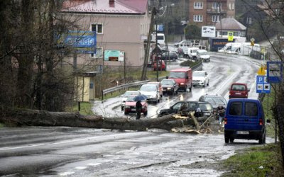Przewrócone drzewo zablokowało drogę krajową nr 52 w Brodach.