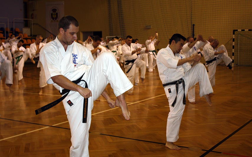 Klub Seido Karate zaprasza na zajęcia w nowym sezonie