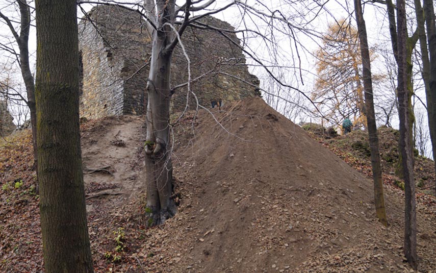 Drzewa niszczą ruiny zamku w Lanckoronie