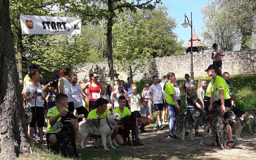 176 biegaczy pobiegło z psami na Golgotę dla Sebastiana