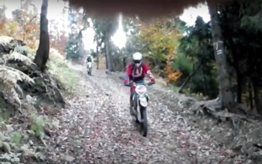 Motocykliści szaleją po lesie za nic mając zakazy (WIDEO)