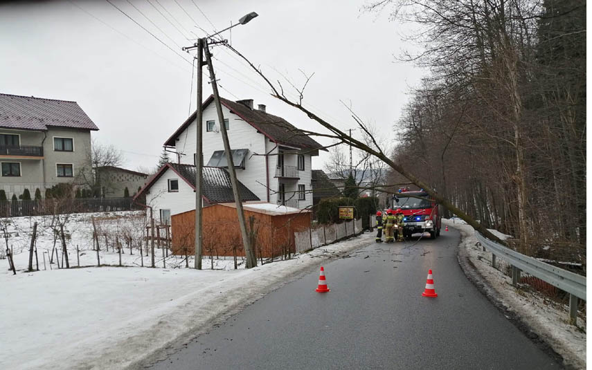 Drzewo spadło na linię energetyczną. Interweniowali strażacy i pogotowie energetyczne