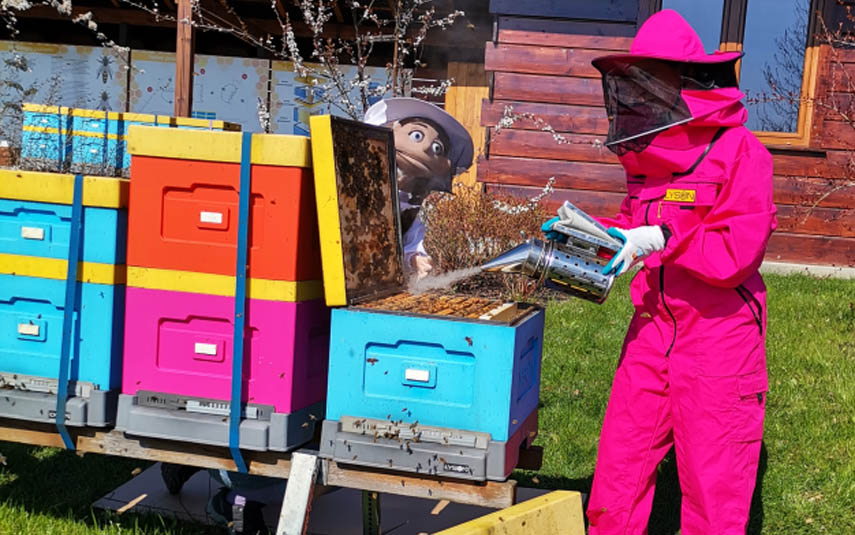 Fundacja Apilandia edukuje filmami o pszczołach 