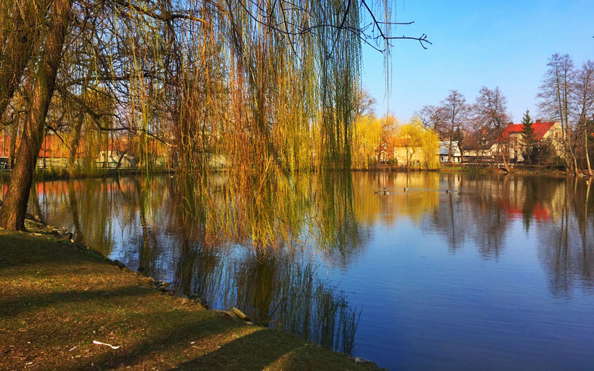 Narodowcy chcą nadania imienia Romana Dmowskiego parkowi w Andrychowie