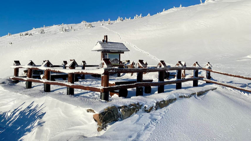 Szczyt Babiej Góry będzie dostępny dla narciarzy!